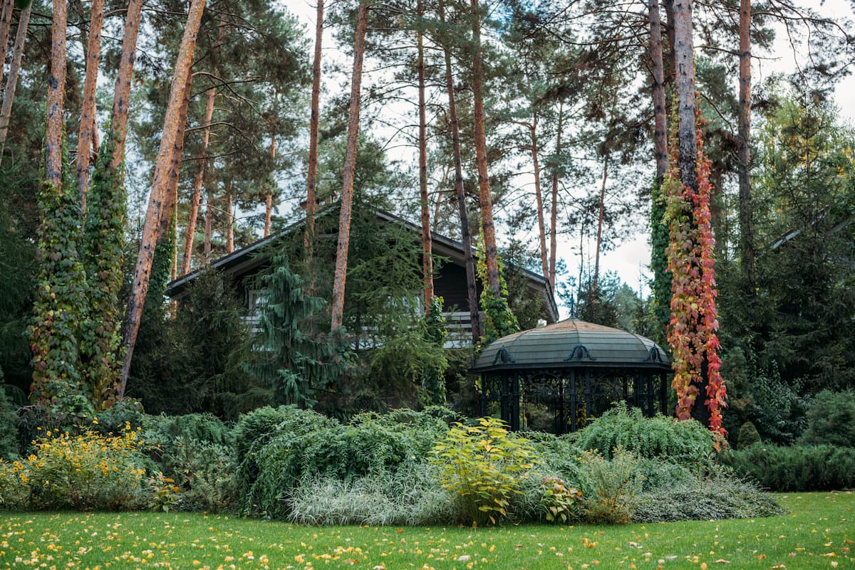 Schwedenchalet am Edersee